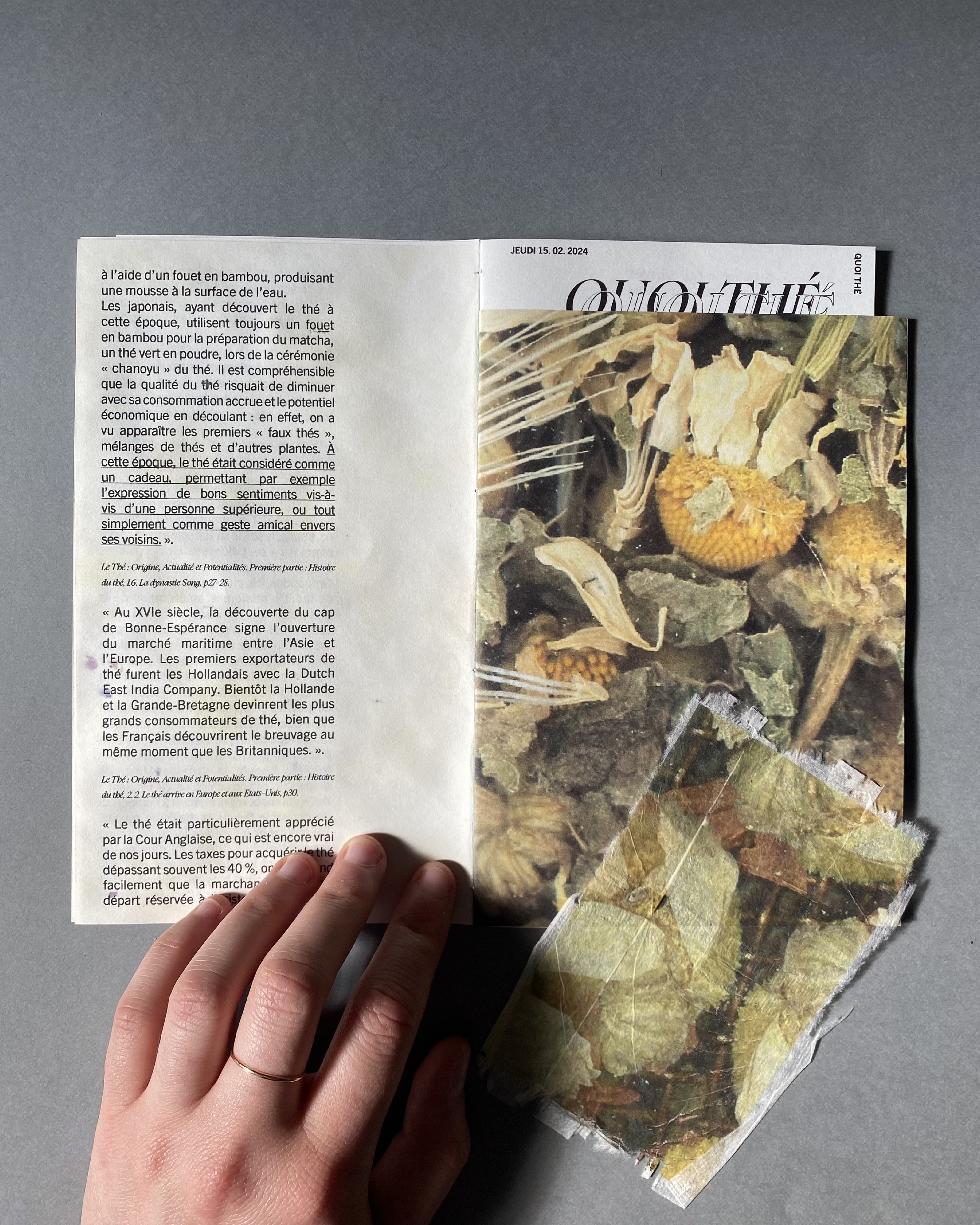 scanne édition