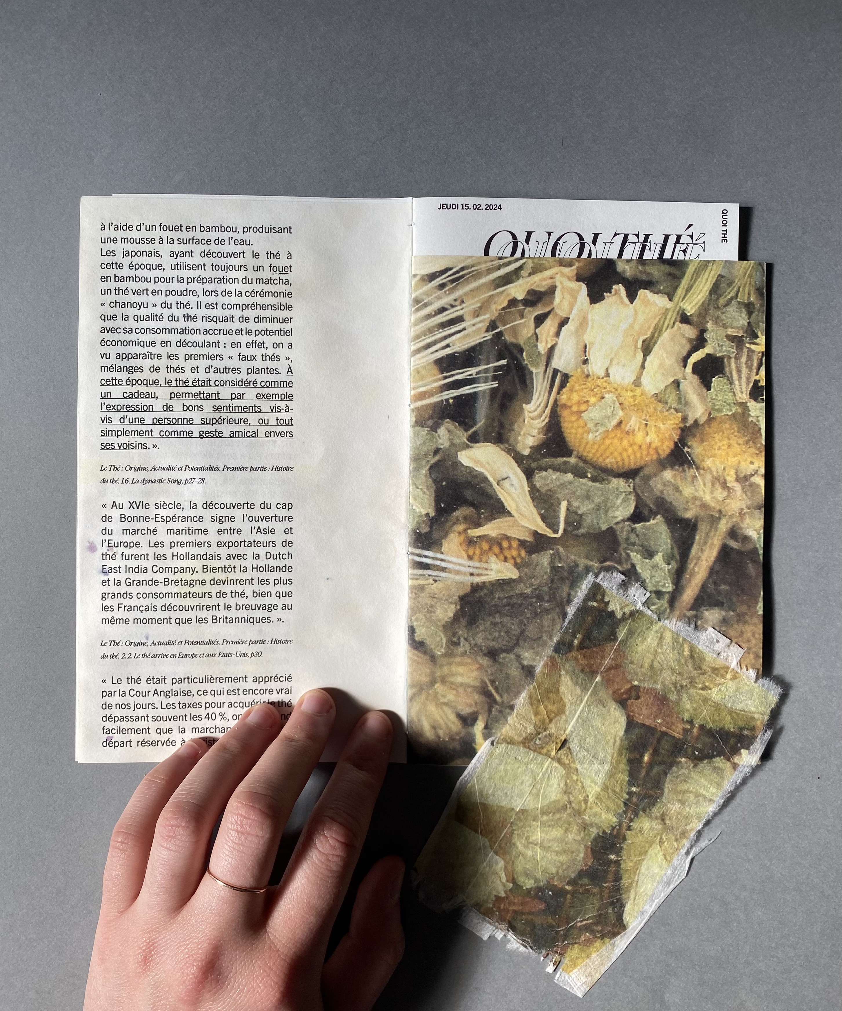 edition zine thé